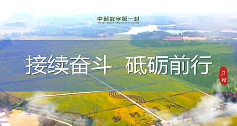 党政主题工作总结汇报PPT巡看比汇报PPT模板 相册第25张图 