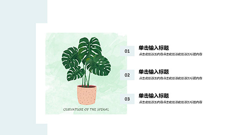 植物盆栽背景清新INS风商务汇报PPT模板 相册第5张图 