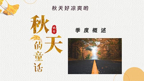 秋天的银杏叶背景“寻觅秋天的踪迹”PPT模板 相册第3张图 